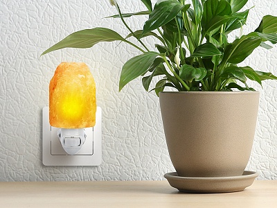 ������ �����