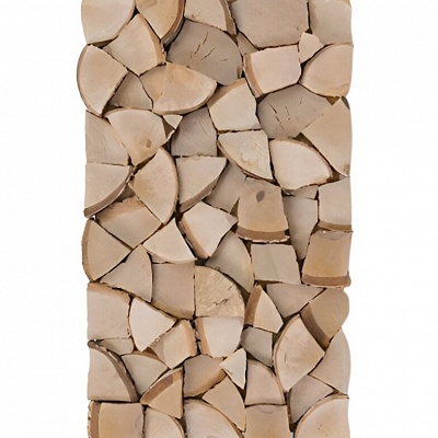 ����  ������������� (�����)